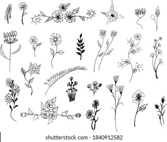 Big set of beautiful hand drawn floral vector with leaves and branches,Floral sketch collection. Decorative natural elements for design.