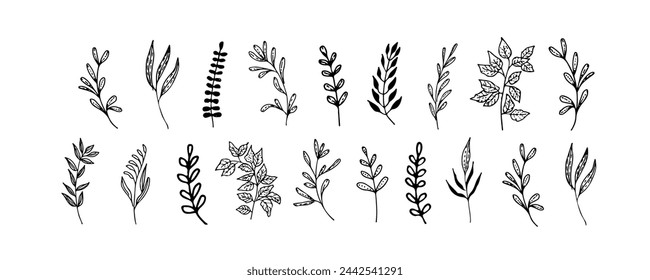 Big set of beautiful leaves and stems in doodle style. Hand drawn realistic leaves. Decorative vector elements for tattoo, greeting card, wedding invitation.