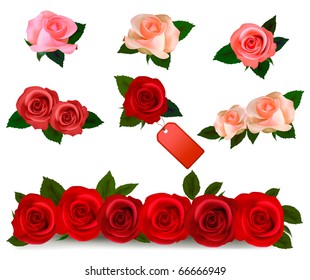 Big set of a beautiful roses. Photo-realistic vector.