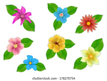 Big set of beautiful vector flowers on white background.