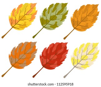 Big Set of Birch Autumn  Leaves on White Background. Elegant Cute Design with Ideal Balanced Colors. Suitable For Creating Autumn Designs.  Vector illustration.