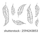 Big set of bird feathers for design. Vector Fluffy soft bird plumage set. Hand drawing engraving illustration. Sketch for icon or logo for pillow, mattress, bedding, pen