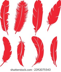Big set of bird feathers design. fluffy swan. soft bird plumage set. Pen icons design. set of bird feathers design