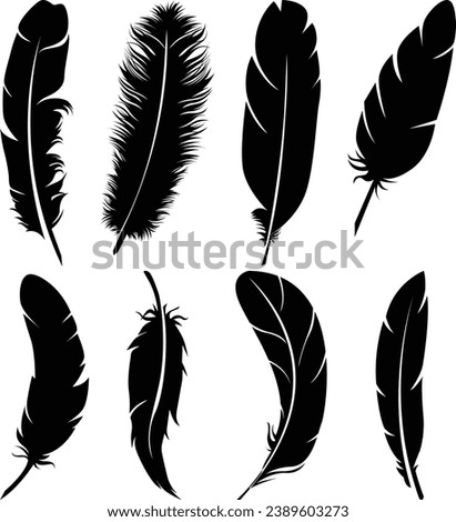 Big set of bird feathers design. fluffy swan. soft bird plumage set. Pen icons design. set of bird feathers design