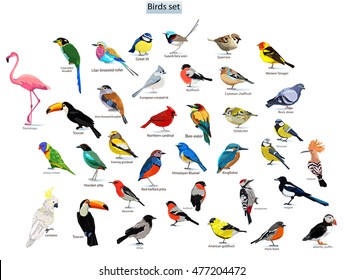 Big Set Birds. Birds Flying, Animals, Bird Silhouette, Bird Vector.Abstract Art Bird, Logo Birds Icon Set Vector Illustration, Set Birds Vector.