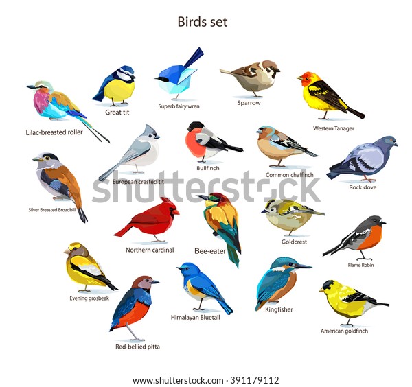 Image Vectorielle De Stock De Grands Oiseaux Oiseaux Volant