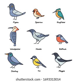 Big set birds. Birds for logo. Icon set vector illustration of pigeon, sparrow, kingfisher, woodpecker, hoodie, bullfinch, starling, tit, magpie