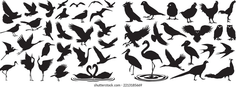 Big Set of Birds Silhouettes in Different Poses. Different types of birds are presented in the set. Vector illustration.