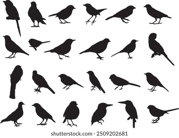 big set of birds silhouettes vector illustration.