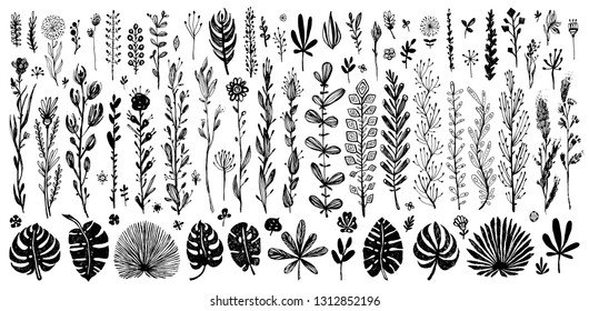 big Set of black floral doodle elements. exotic tropical leaves on a white background. Vector botanical illustration. Great design elements for congratulation cards, banners