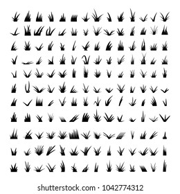 Big set of black grass silhouettes elements eps 8. Grass template for design