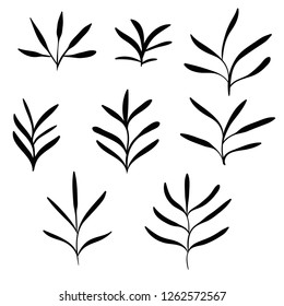 Big set of black hand drawn thin line cute doodle floral icons, flowers, plants. Design element collection isolated on white. Vector illustration. 