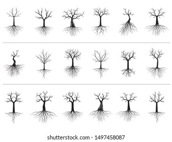 Big Set of black Isolated naked Trees with Roots on white background. Vector Illustration and concept pictogram. Plant in garden.