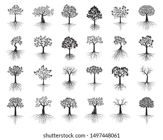 Big Set of black Isolated Trees with Roots on white background. Vector Illustration and concept pictogram. Plant in garden.