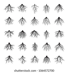 Big set of Black Roots Tree. Vector Illustration.