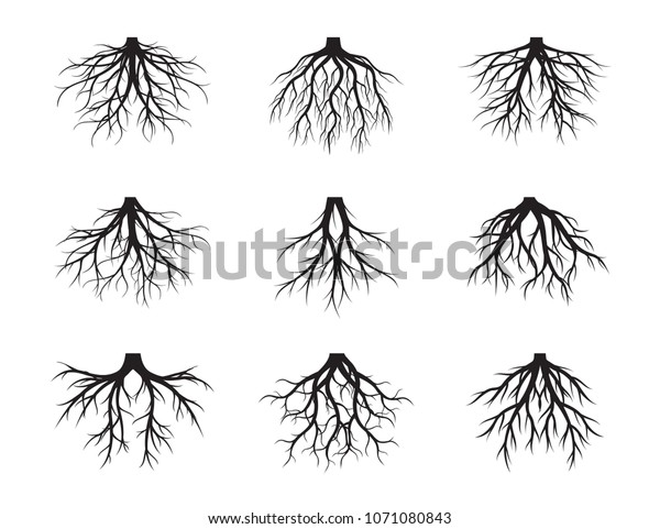 Big Set Black Roots Tree Vector Stock Vector (royalty Free) 1071080843 