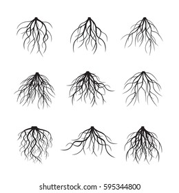 Big Set of black Roots. Vector Illustration.