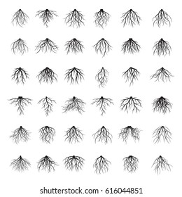 Big set of black roots. Vector Illustration.