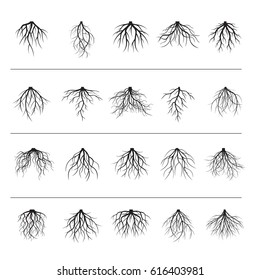 Big set of black roots. Vector Illustration.
