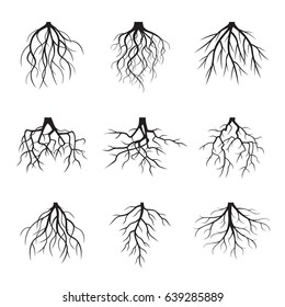 Big Set Black Roots Vector Illustration Stock Vector (Royalty Free ...