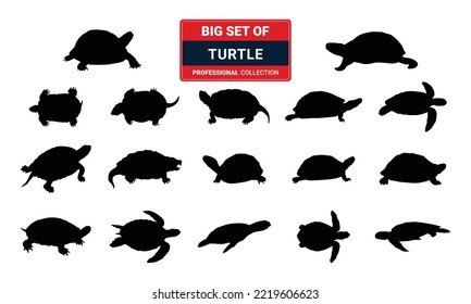 
Big Set of black silhouette big sea turtle cartoon cute animal design ocean tortoise swimming in water flat vector illustration isolated on white background.
