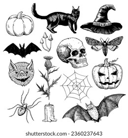 Big set of black and white halloween illustrations. Ink drawing of horror gothic symbols for design.