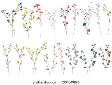 Gran conjunto de elementos florales en flor botánica. Ramas, hojas, hierbas, plantas silvestres, flores. Jardín, prado, hoja de recolección, follaje, ramas. Ilustración vectorial de la flor aislada en fondo blanco