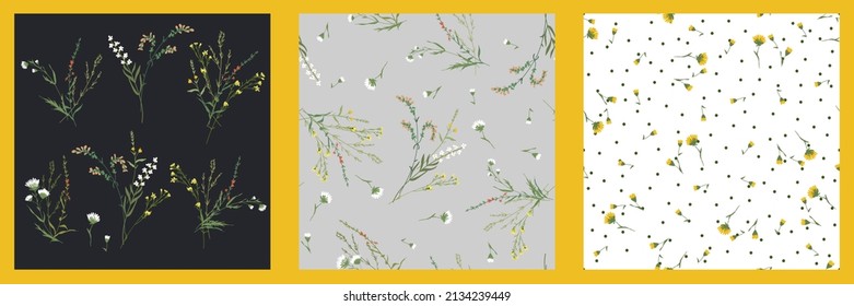 Big set botanic elements and floral seamless patterns. Branches, leaves, herbs, wild plants, flowers. Garden, meadow, feild collection leaf, foliage, branches. Bloom vector illustration.