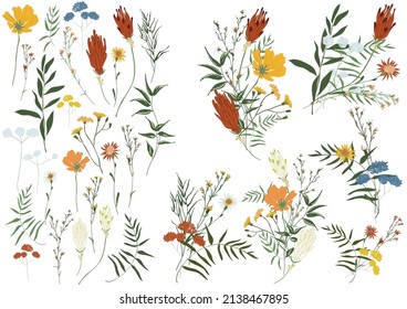 Big set botanic floral elements. Branches, leaves, foliage, herbs, flowers. Garden, field, meadow wild plants collected in bouquet collection. Colorful vector illustration isolated on white background