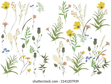 Big set botanic floral elements. Branches, leaves, foliage, herbs, flowers. Garden, field, meadow wild plants collected in bouquet collection. Colorful vector illustration isolated on white background