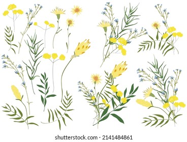 Big set botanic floral elements. Branches, leaves, foliage, herbs, flowers. Garden, field, meadow wild plants collected in bouquet collection. Colorful vector illustration isolated on white background