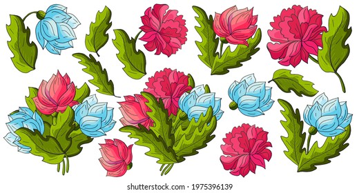 Big set of bouquets, inflorescences, leaves and flowers as separate elements. Blue and red peonies in hand drawing style
