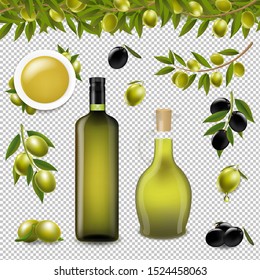 Big Set With Branch Olives And With Transparent background With Gradient Mesh, Vector Illustration