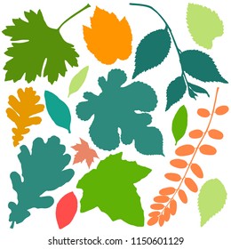 Big set of bright autumn leaves. Vector illustration. Fall leaves background. Collection number 2. 