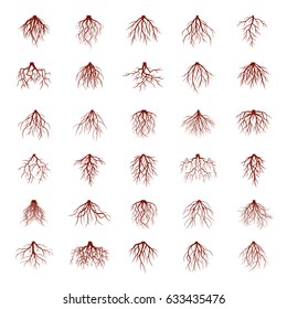 Big set of brown roots. Vector Illustration.