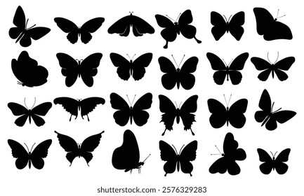 Big set butterflies on a white background drawing decorative insect silhouettes hand draw vector