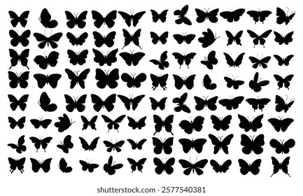 Big set butterflies on a white background drawing decorative insect silhouettes hand draw vector