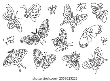 Big set with butterflies. Vector outline illustration.
