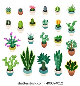 Big set of cactuses and succulents in pots. Cactuses and succulents isolated on white background. Indoor plants in a flat style. Vector illustration.