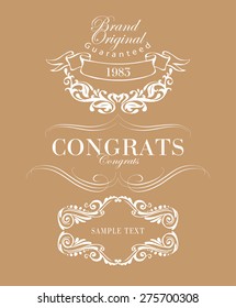 Big set of calligraphic elements for design  can be used for invitation, congratulation