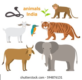 Gran grupo de animales de caricatura al estilo indio. Ilustración vectorial plana aislada en fondo blanco