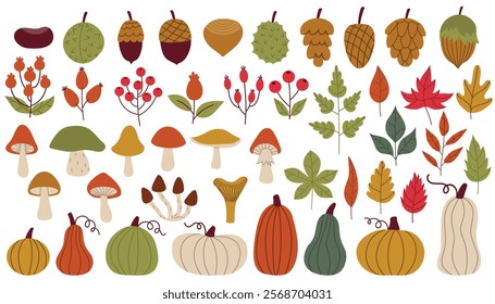 Big set of cartoon autumn design elements in flat style. Nuts and cones, mushrooms and berries, pumpkins and leaves. Fall harvest collection.