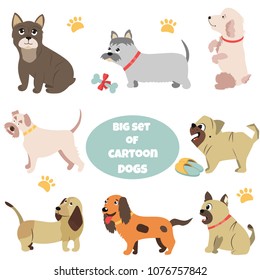 Big set of cartoon dogs of different breeds.