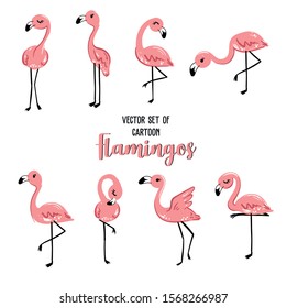 Big set of cartoon pink flamingos in diferrent poses drawn with a tablet. Vector cute illustration isolated on white background with curly lettering, tropical birds with long legs and neck, animal