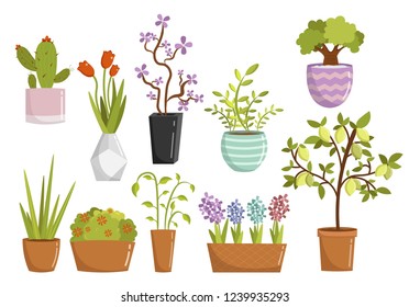 Big set cartoon room plant floral elements vector illustration