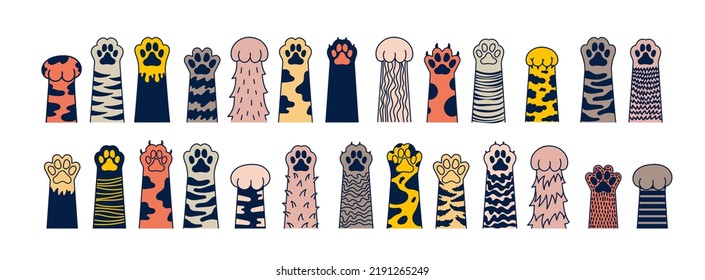 Big set of Cat colored paw. Dog paw. Cat breed. Doodle animal foot, cute cartoon kitten and puppy paws, wild and domestic animals foots. vector drawing kitty and dog different breed pet.