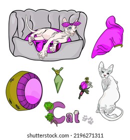 Big set of cats in accessories, pet shop. Sphynx cat for design blank, logo, badge, postcard