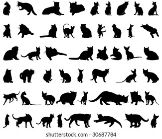 Big Set of Cats Silhouettes in Different Poses. Almost Each Kind of Cat Animal Represented in Set. High Detail, Very Smooth. Vector Illustration. 