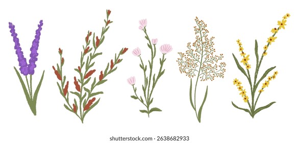 Big set chalk texture botanic blossom floral elements. Branches, leaves, herbs, wild plants, flowers. Crayon hand drawn garden, meadow, field collection. Vector illustration isolated. White background