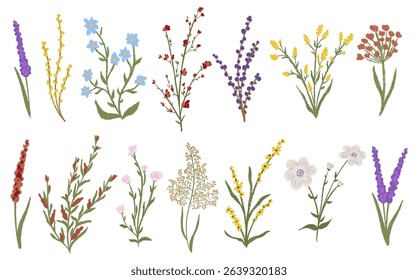 Big set chalk texture botanic blossom floral elements. Branches, leaves, herbs, wild plants, flowers. Crayon hand drawn garden, meadow, field collection. Vector illustration isolated. White background